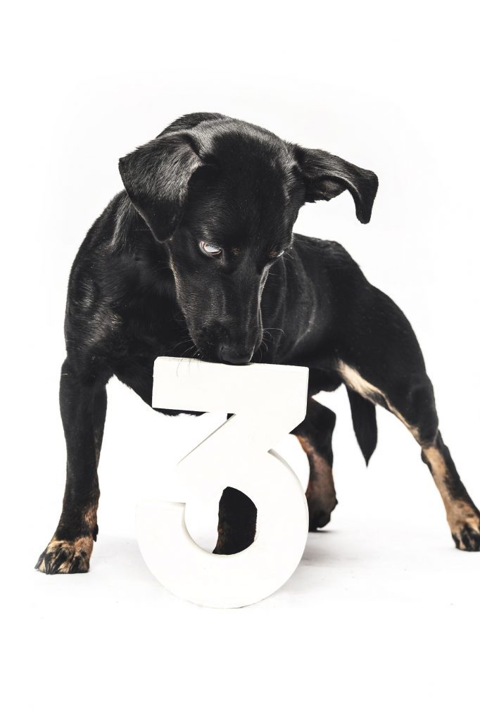 Urban-Legend--S/S2019-16