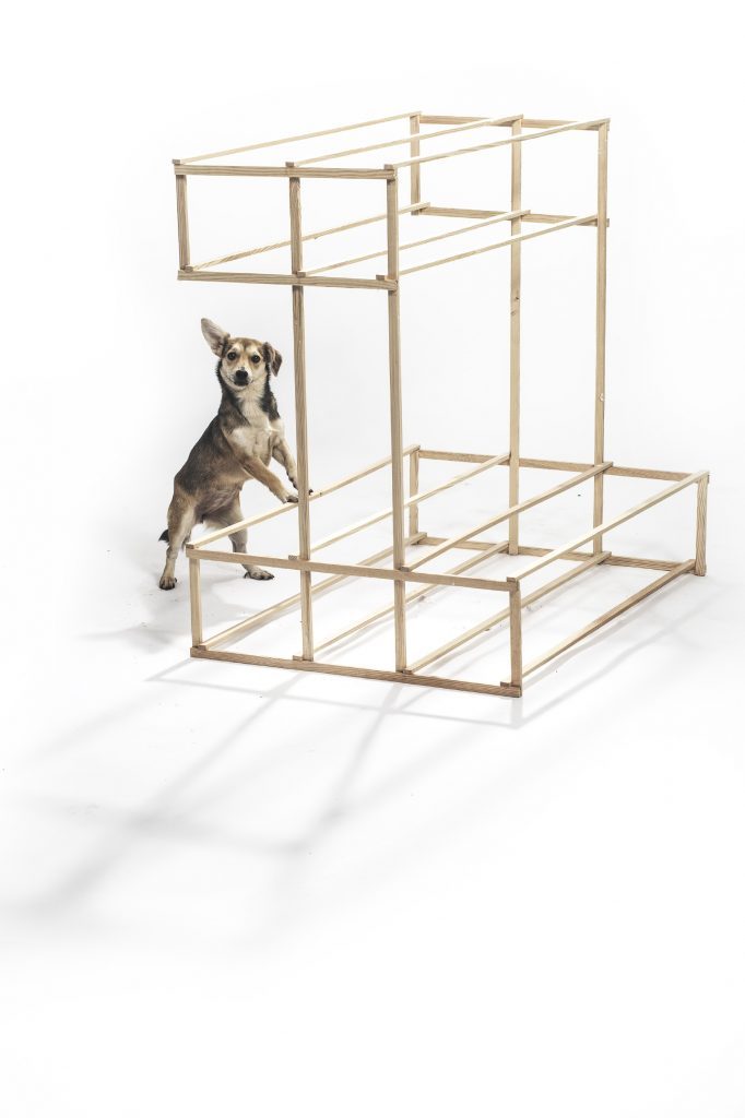 Urban-Legend--S/S2019-19